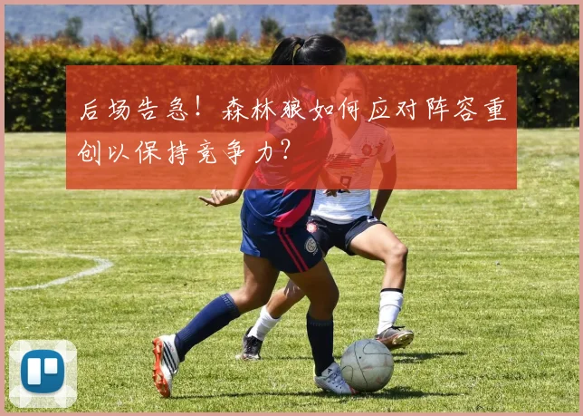 后场告急!森林狼如何应对阵容重创以保持竞争力?