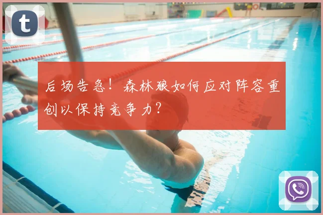 后场告急!森林狼如何应对阵容重创以保持竞争力?